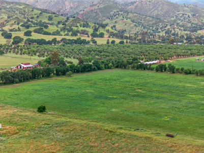 Certified Organic Farm Land for Sale in Guinda CA |  29 Acres - image 8