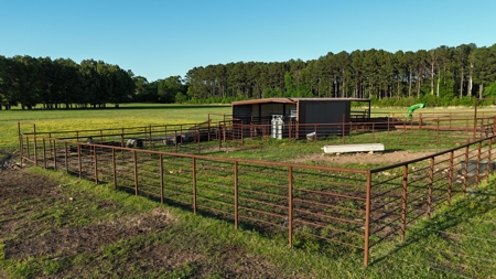 Home / 10 acres (MOL) Kiamichi River Property! - image 42