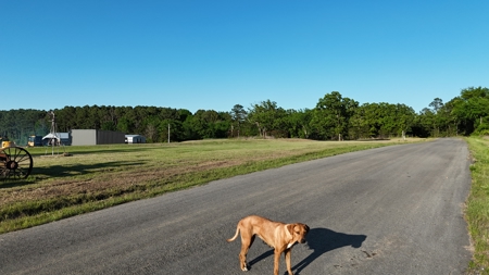 Home / 10 acres (MOL) Kiamichi River Property! - image 38
