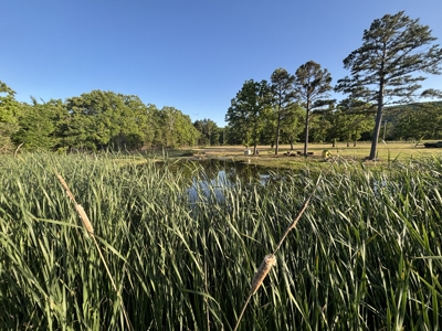 Home / 10 acres (MOL) Kiamichi River Property! - image 9