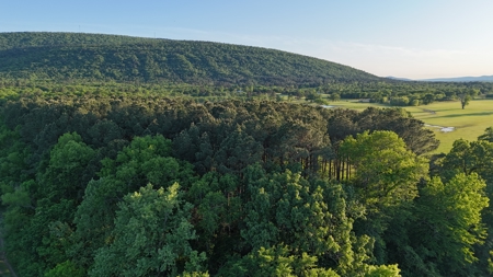 Home / 10 acres (MOL) Kiamichi River Property! - image 23