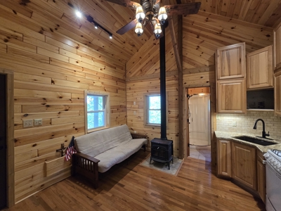 Off- Grid Cabin Adjoining National Forest - image 10
