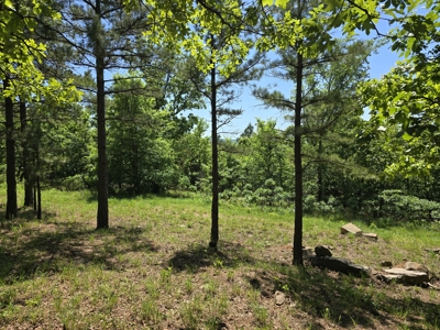 Off- Grid Cabin Adjoining National Forest - image 44