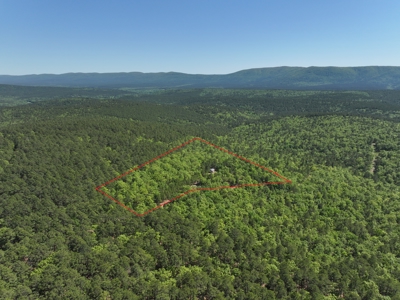 Off- Grid Cabin Adjoining National Forest - image 46