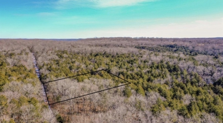 5 Acres of Prime Ozark Hunting Land with Wet Weather Creek - image 5
