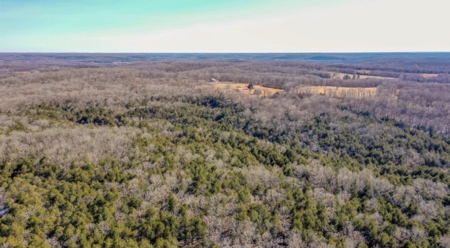 5 Acres of Prime Ozark Hunting Land with Wet Weather Creek - image 4