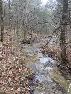5 Acres of Prime Ozark Hunting Land with Wet Weather Creek - image 1