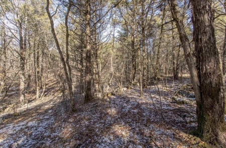 5 Acres of Prime Ozark Hunting Land with Wet Weather Creek - image 2