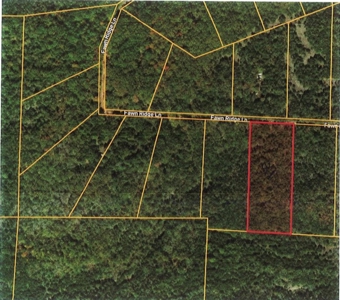 5 Acres of Prime Ozark Hunting Land with Wet Weather Creek - image 3
