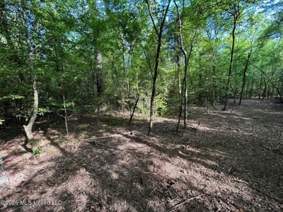 46 Acres in St. Helena Parish, LA Hunting Property for Sale - image 33
