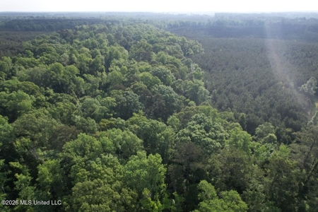 46 Acres in St. Helena Parish, LA Hunting Property for Sale - image 12