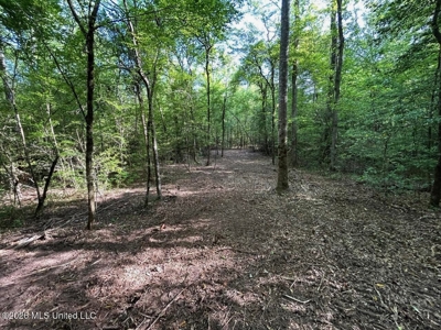 46 Acres in St. Helena Parish, LA Hunting Property for Sale - image 32