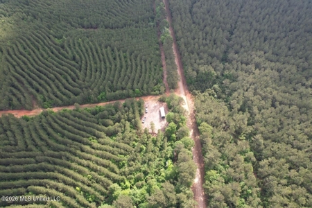 46 Acres in St. Helena Parish, LA Hunting Property for Sale - image 19