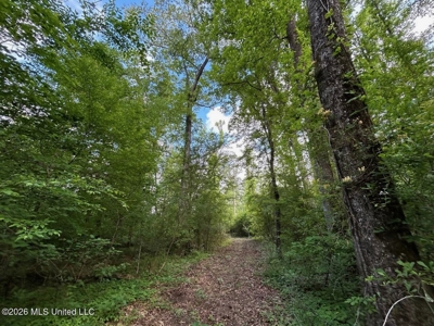 46 Acres in St. Helena Parish, LA Hunting Property for Sale - image 41