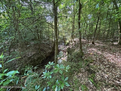 46 Acres in St. Helena Parish, LA Hunting Property for Sale - image 35