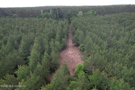 46 Acres in St. Helena Parish, LA Hunting Property for Sale - image 14