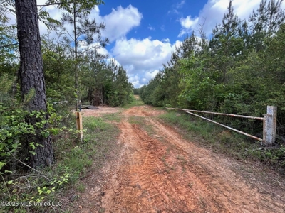46 Acres in St. Helena Parish, LA Hunting Property for Sale - image 42