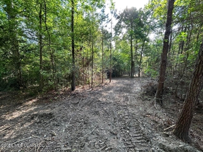 46 Acres in St. Helena Parish, LA Hunting Property for Sale - image 30