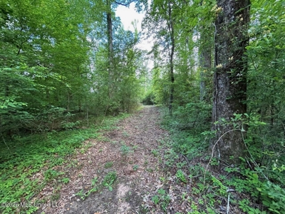 46 Acres in St. Helena Parish, LA Hunting Property for Sale - image 40