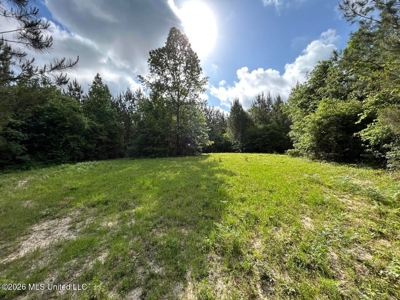 46 Acres in St. Helena Parish, LA Hunting Property for Sale - image 39