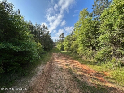 46 Acres in St. Helena Parish, LA Hunting Property for Sale - image 28