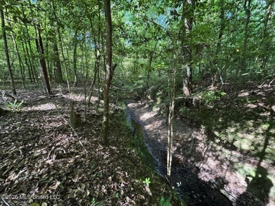 46 Acres in St. Helena Parish, LA Hunting Property for Sale - image 38