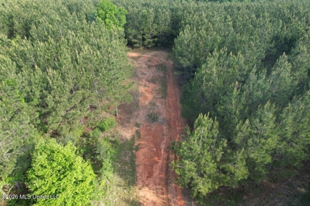 46 Acres in St. Helena Parish, LA Hunting Property for Sale - image 9