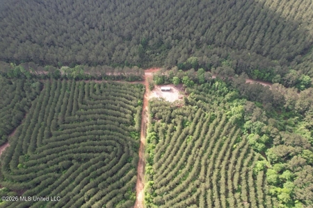 46 Acres in St. Helena Parish, LA Hunting Property for Sale - image 18