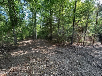 46 Acres in St. Helena Parish, LA Hunting Property for Sale - image 31