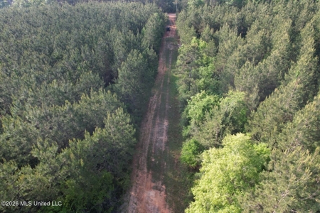 46 Acres in St. Helena Parish, LA Hunting Property for Sale - image 10
