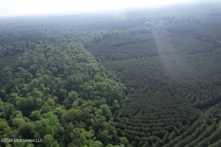 46 Acres in St. Helena Parish, LA Hunting Property for Sale - image 6