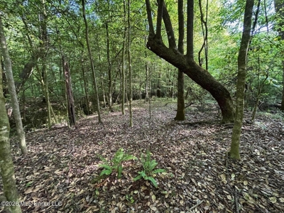 46 Acres in St. Helena Parish, LA Hunting Property for Sale - image 36