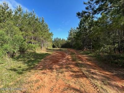 46 Acres in St. Helena Parish, LA Hunting Property for Sale - image 26