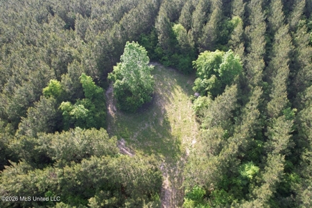 46 Acres in St. Helena Parish, LA Hunting Property for Sale - image 4