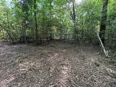 46 Acres in St. Helena Parish, LA Hunting Property for Sale - image 34