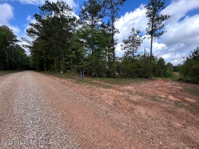 46 Acres in St. Helena Parish, LA Hunting Property for Sale - image 43