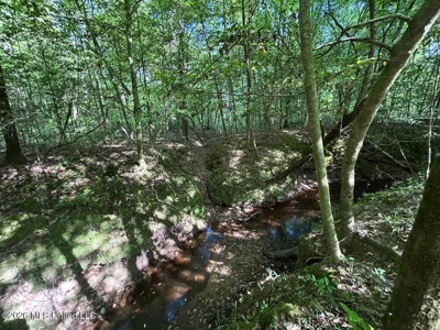 46 Acres in St. Helena Parish, LA Hunting Property for Sale - image 37