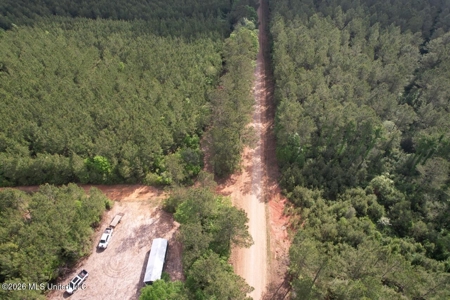 46 Acres in St. Helena Parish, LA Hunting Property for Sale - image 21