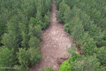 46 Acres in St. Helena Parish, LA Hunting Property for Sale - image 15