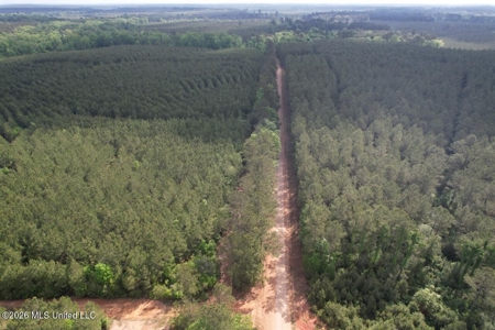 46 Acres in St. Helena Parish, LA Hunting Property for Sale - image 20