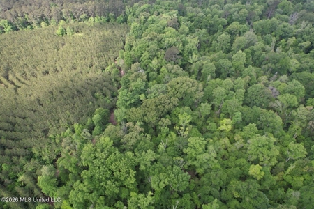 46 Acres in St. Helena Parish, LA Hunting Property for Sale - image 16