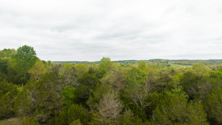 80 Acres Vacant Land in the Arkansas Ozarks | Fulton County - image 15