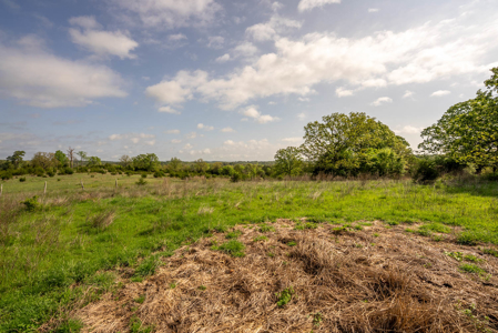 80 Acres Vacant Land in the Arkansas Ozarks | Fulton County - image 20