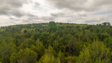 80 Acres Vacant Land in the Arkansas Ozarks | Fulton County - image 17