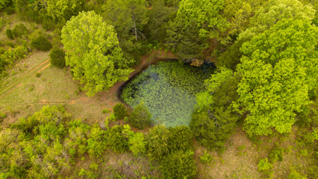 80 Acres Vacant Land in the Arkansas Ozarks | Fulton County - image 9