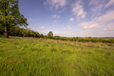 80 Acres Vacant Land in the Arkansas Ozarks | Fulton County - image 21