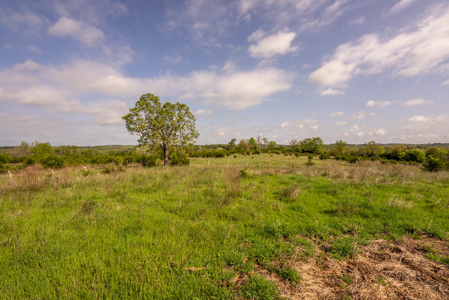 80 Acres Vacant Land in the Arkansas Ozarks | Fulton County - image 19