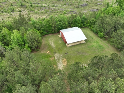 250 Acres Cass County Hunting Land | Shop & Living Quarters - image 18