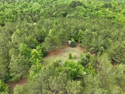 250 Acres Cass County Hunting Land | Shop & Living Quarters - image 22