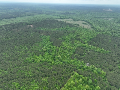 250 Acres Cass County Hunting Land | Shop & Living Quarters - image 15